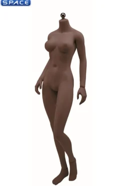 1/6 Scale Seamless female Body S27C / headless