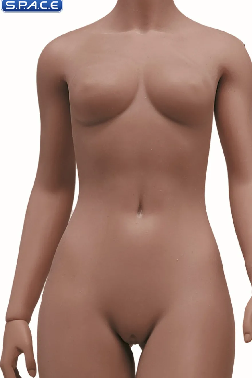 1/6 Scale Seamless female Body S46D / headless (brown)