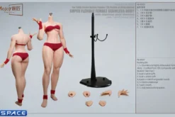 1/6 Scale Seamless Female pale Body BD01