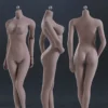 1/6 Scale Seamless Female suntan Body