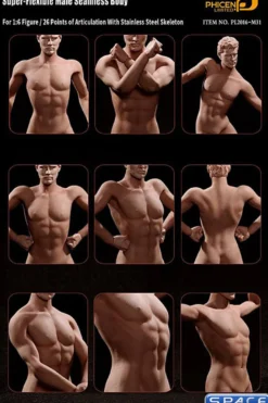 1/6 Scale Seamless Male Body M31