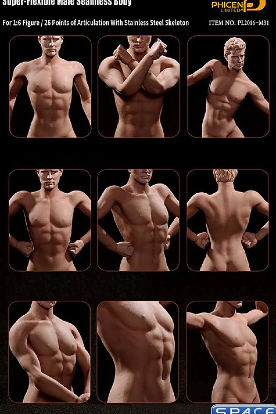 1/6 Scale Seamless Male Body M31