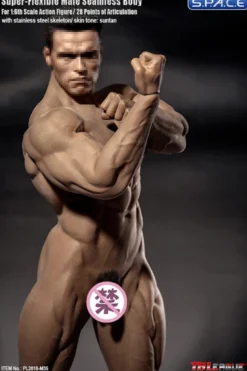 1/6 Scale Seamless Male Body M35