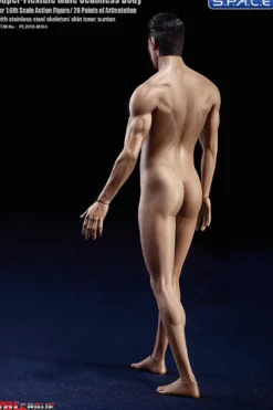 1/6 Scale Seamless Male Body M36A