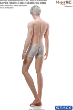 1/6 Scale Seamless Male pale Body DD01H with head sculpt