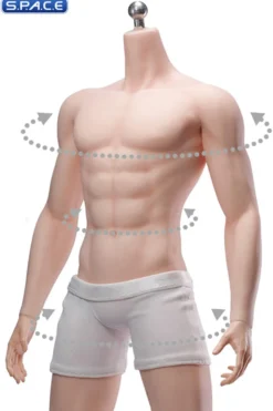 1/6 Scale Seamless Male pale Body DD01