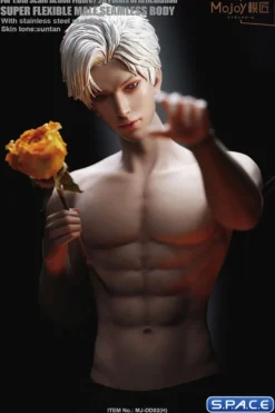 1/6 Scale Seamless Male suntan Body DD02H with head sculpt