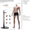 1/6 Scale Seamless Male suntan Body DD02