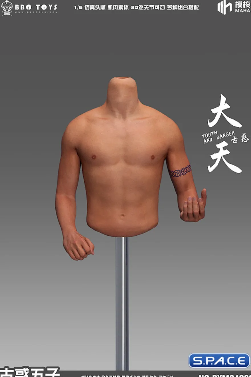 1/6 Scale seamless upper Body for Asian Gangster Version 3