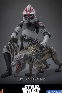 1/6 Scale Sergeant Hound TV Masterpiece TMS167