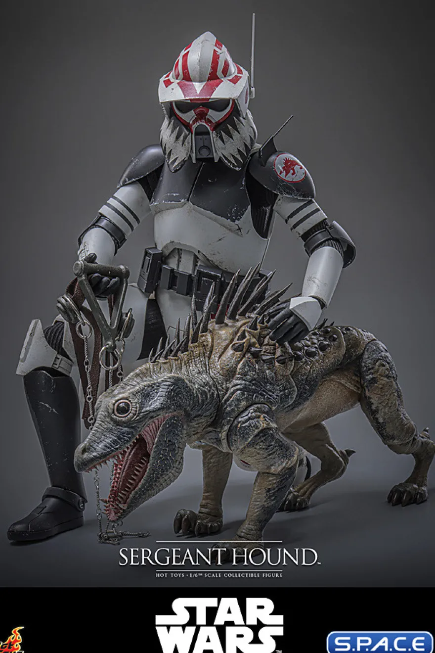 1/6 Scale Sergeant Hound TV Masterpiece TMS167