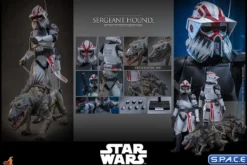 1/6 Scale Sergeant Hound TV Masterpiece TMS167