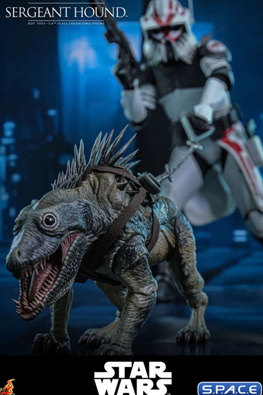 1/6 Scale Sergeant Hound TV Masterpiece TMS167