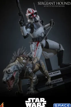 1/6 Scale Sergeant Hound TV Masterpiece TMS167