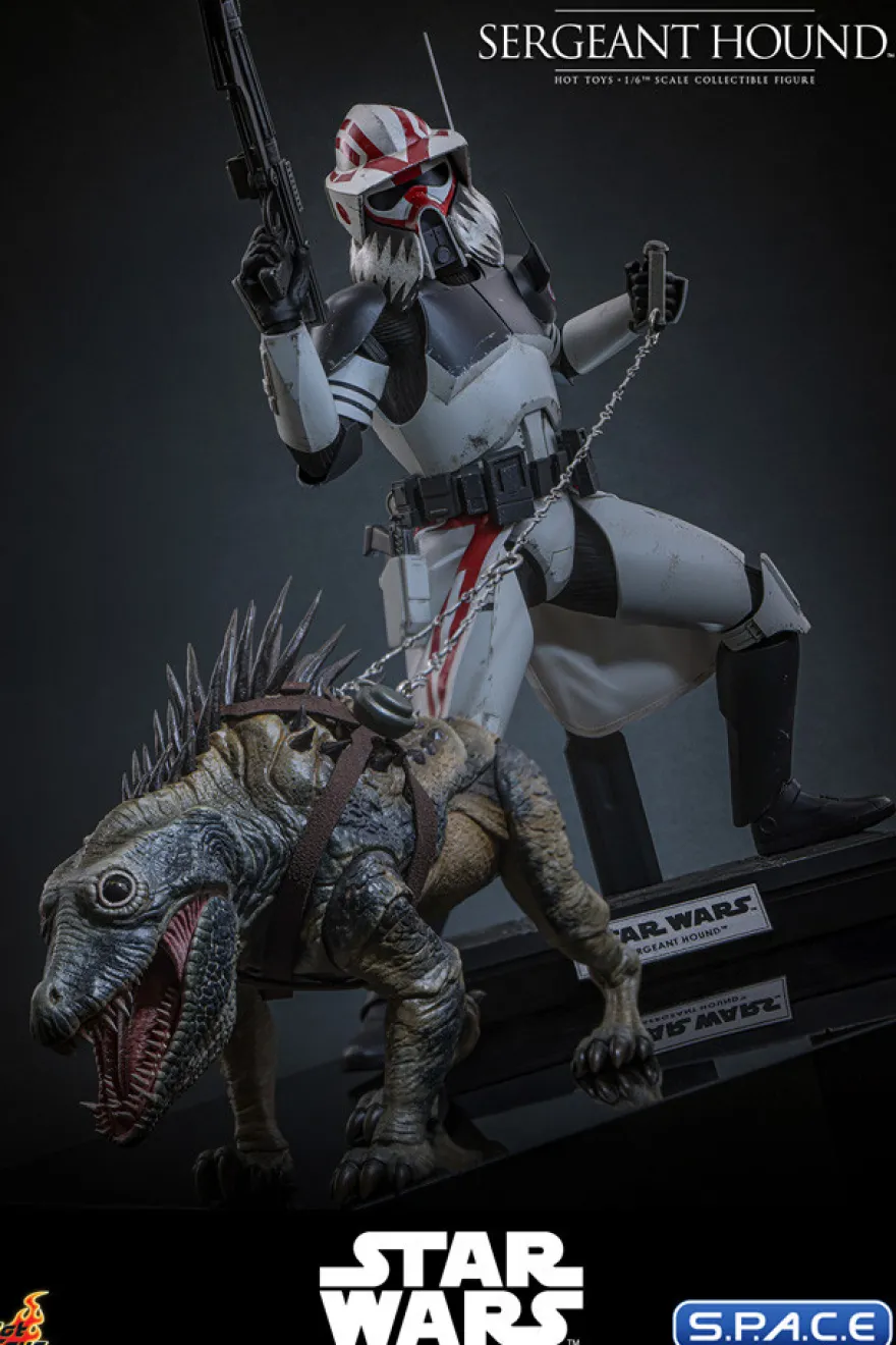 1/6 Scale Sergeant Hound TV Masterpiece TMS167
