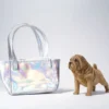 1/6 Scale Shar-Pei