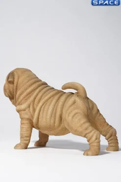 1/6 Scale Shar-Pei
