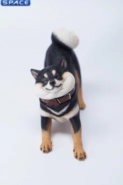 1/6 Scale Shiba Inu »Don't go Home«