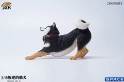 1/6 Scale Shiba Inu »Don't go Home«