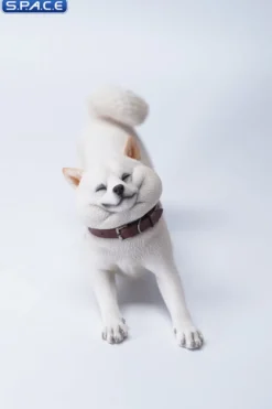 1/6 Scale Shiba Inu »Don't go Home«