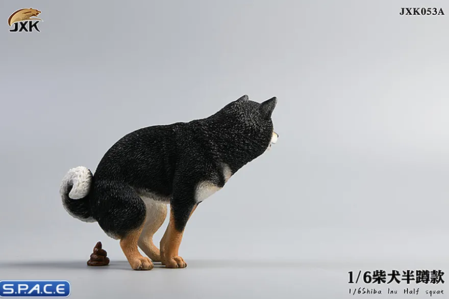 1/6 Scale Shiba Inu half squat