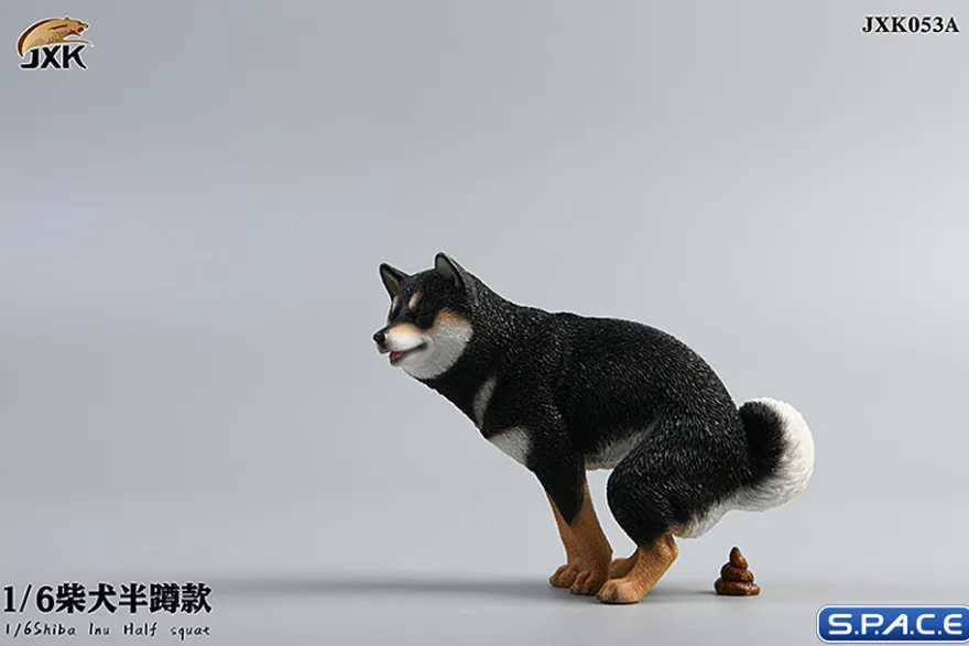 1/6 Scale Shiba Inu half squat