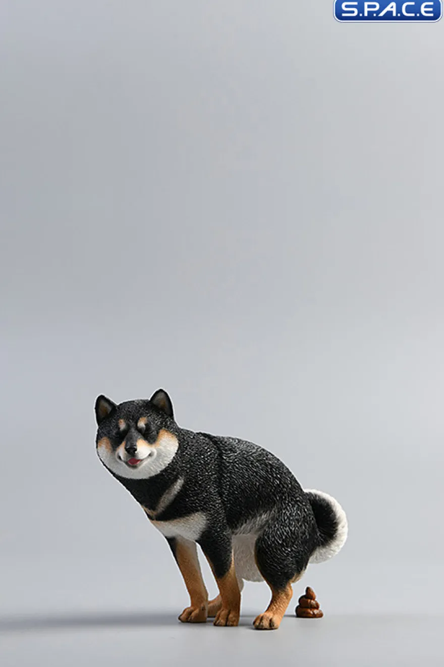 1/6 Scale Shiba Inu half squat
