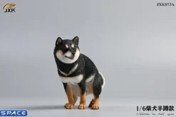 1/6 Scale Shiba Inu half squat