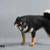 1/6 Scale Shiba Inu leg lift