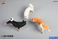 1/6 Scale Shiba Inu leg lift