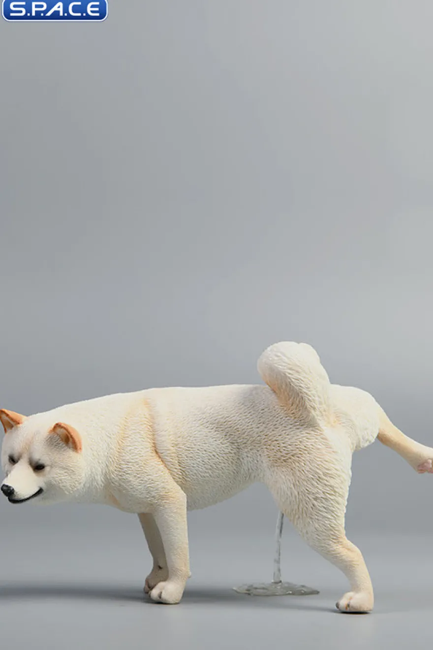1/6 Scale Shiba Inu leg lift