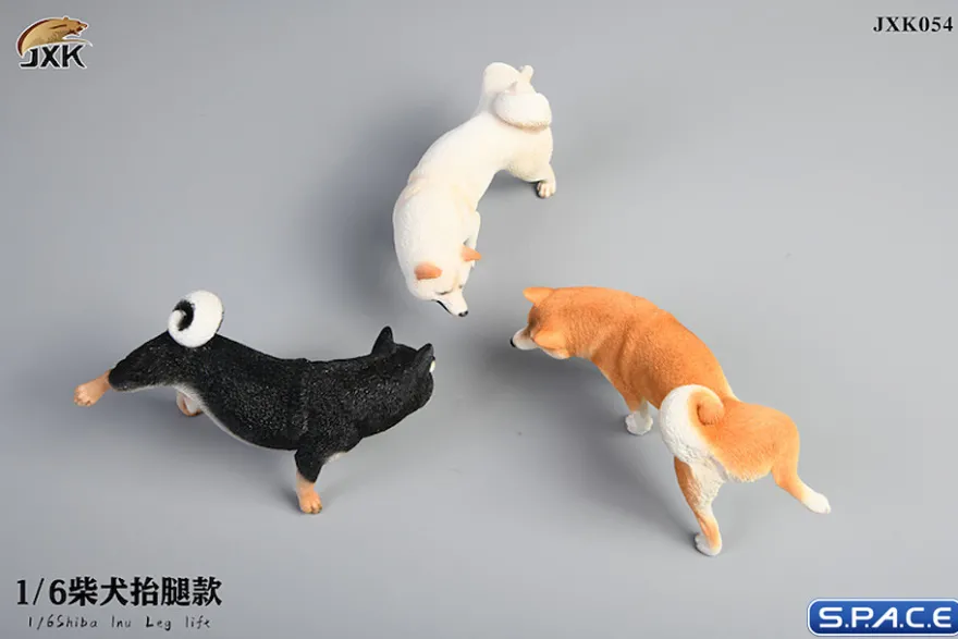 1/6 Scale Shiba Inu leg lift