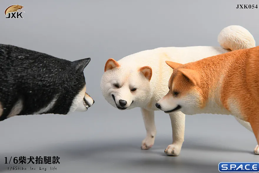 1/6 Scale Shiba Inu leg lift