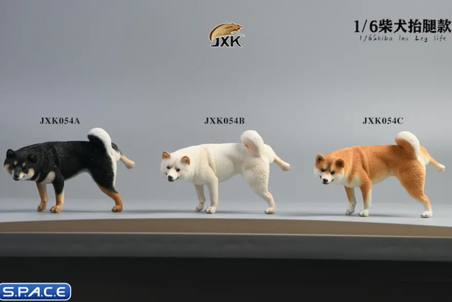1/6 Scale Shiba Inu leg lift