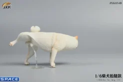 1/6 Scale Shiba Inu leg lift