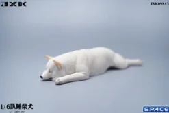 1/6 Scale Shiba Inu - sleeping on stomach