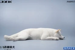 1/6 Scale Shiba Inu - sleeping on stomach