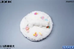 1/6 Scale Shiba Inu - sleeping on stomach
