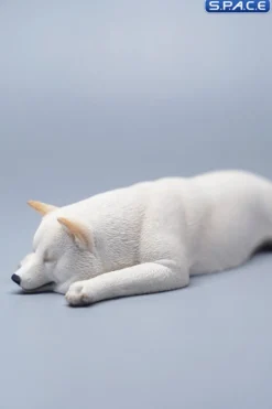 1/6 Scale Shiba Inu - sleeping on stomach