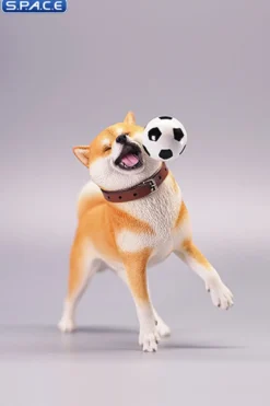 1/6 Scale Shiba Inu with football
