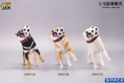 1/6 Scale Shiba Inu with football