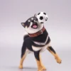 1/6 Scale Shiba Inu with football
