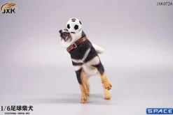 1/6 Scale Shiba Inu with football
