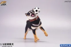 1/6 Scale Shiba Inu with football