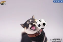 1/6 Scale Shiba Inu with football