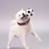 1/6 Scale Shiba Inu with football