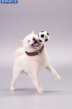 1/6 Scale Shiba Inu with football