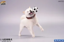 1/6 Scale Shiba Inu with football