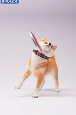 1/6 Scale Shiba Inu with frisbee