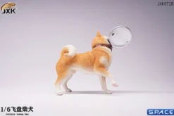 1/6 Scale Shiba Inu with frisbee